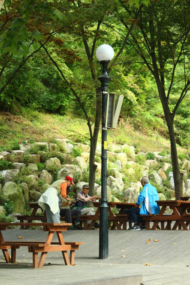 seoul grand park senior citizens
