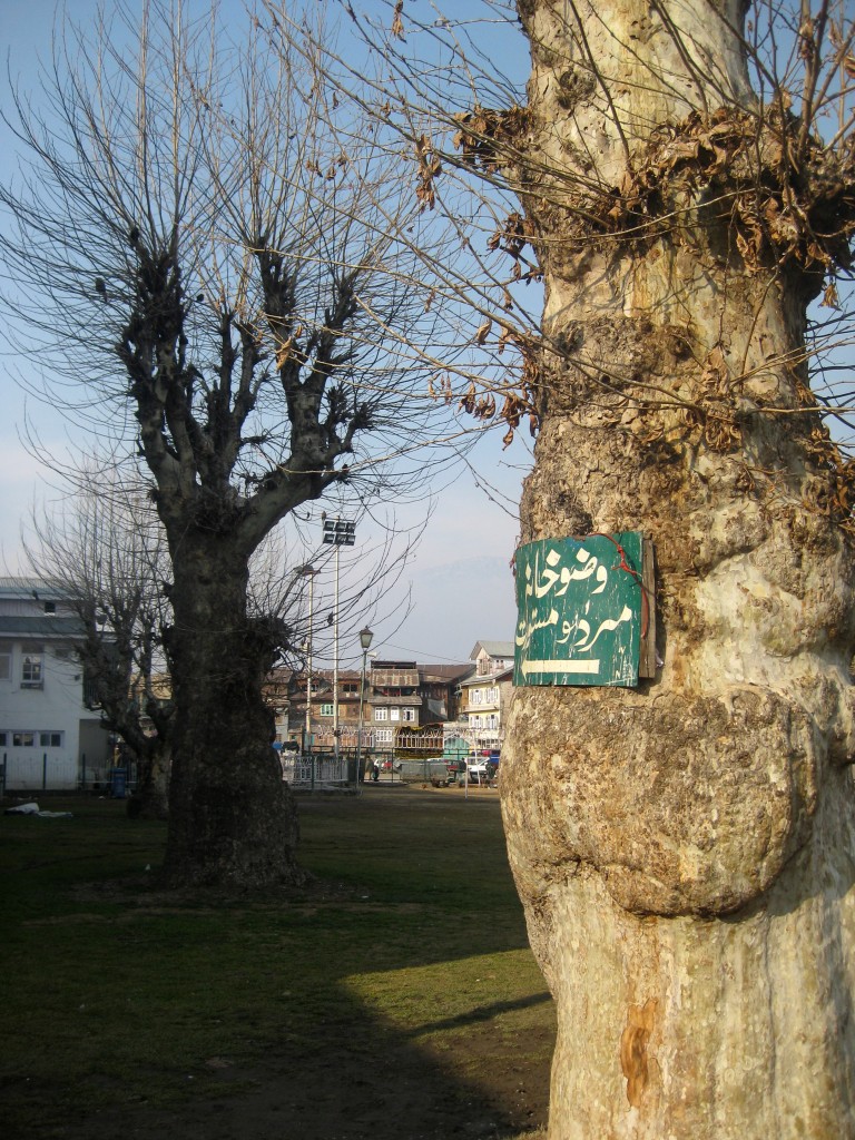 Hazratbal Shrine Srinagar