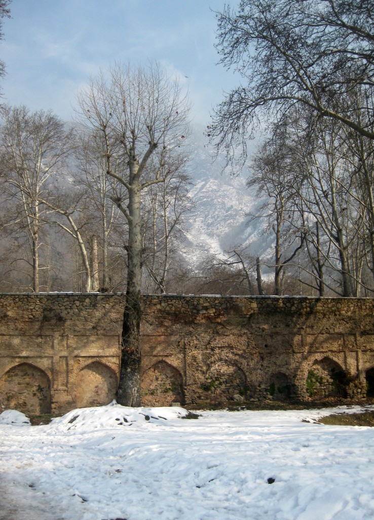 nishat bagh winter srinagar