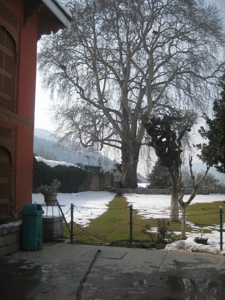 Chashma Shahi Srinagar kashmir