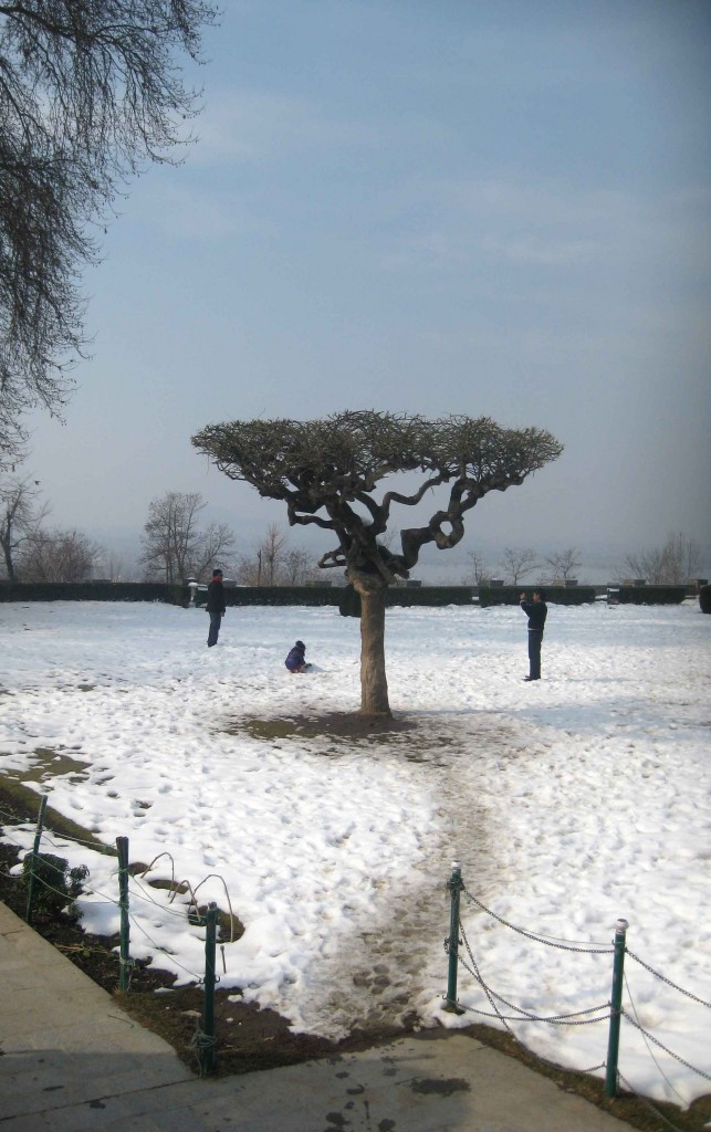 Chashma Shahi Srinagar kashmir