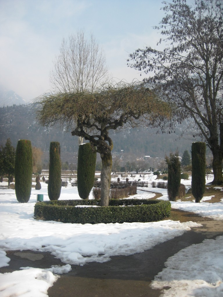 srinagar botanical gardens kashmir