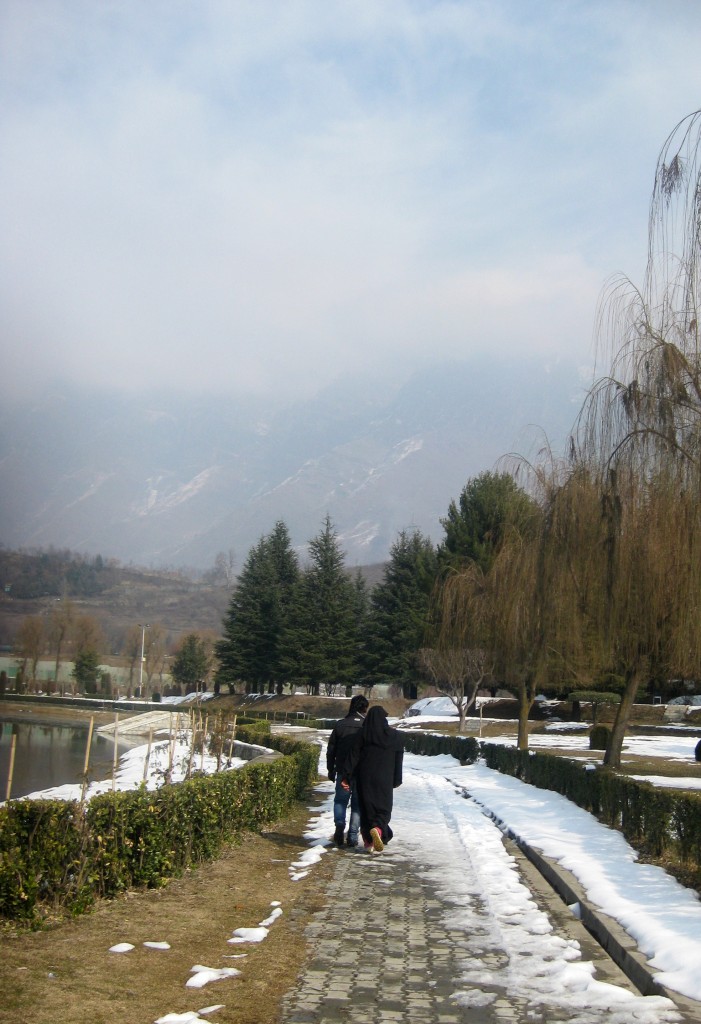 srinagar botanical gardens kashmir