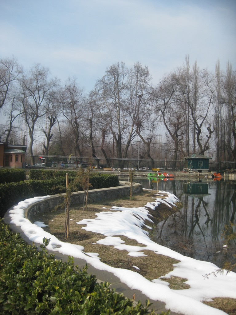 srinagar botanical gardens lake kashmir