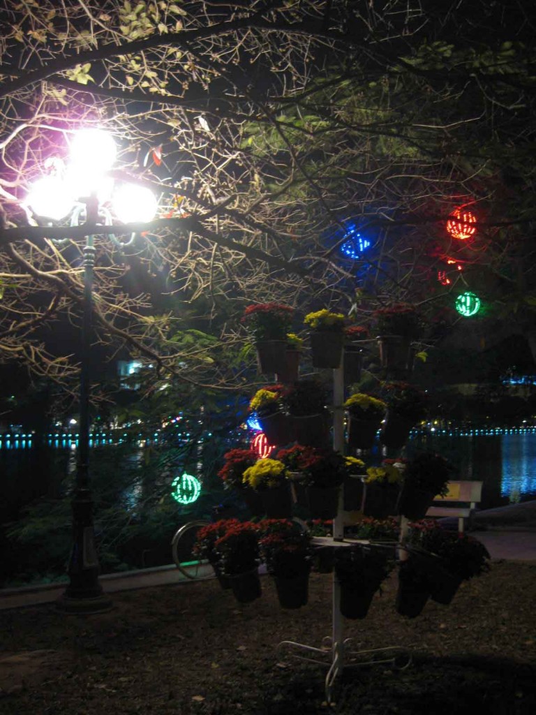 Hoan Kiam Lake night flowers