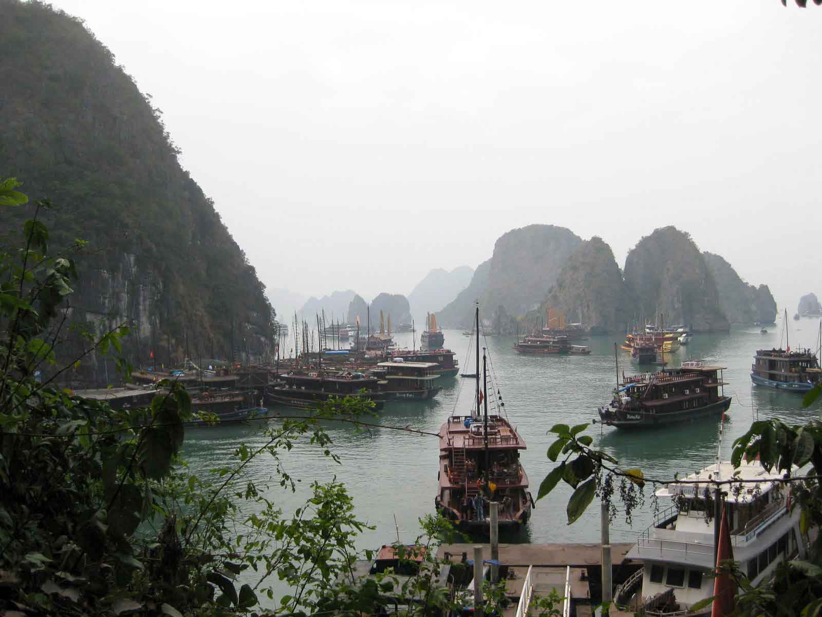 Photo Story: A 2D1N stay on a Halong Bay junk - The Travelling Squid