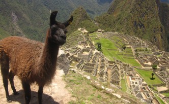 macchu picchu