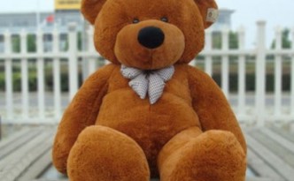 brown teddy bear