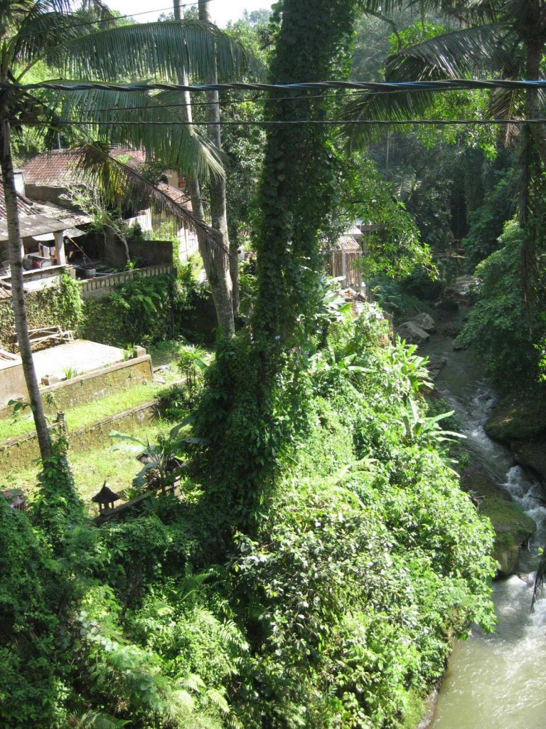 ubud walking trail