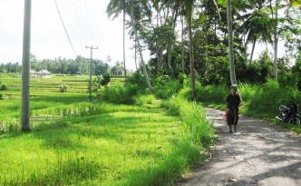ubud bali sayan villages