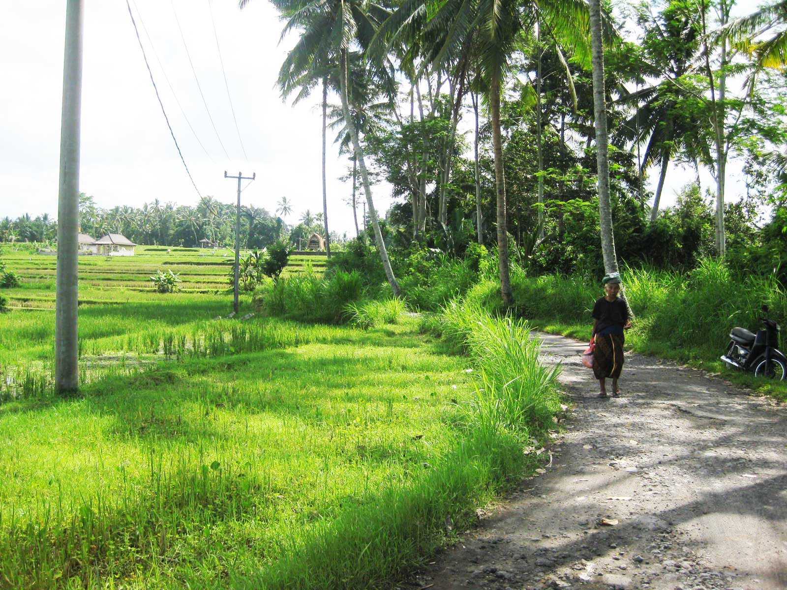 ubud bali sayan villages