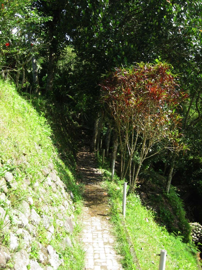 ubud bali trek white water rafting