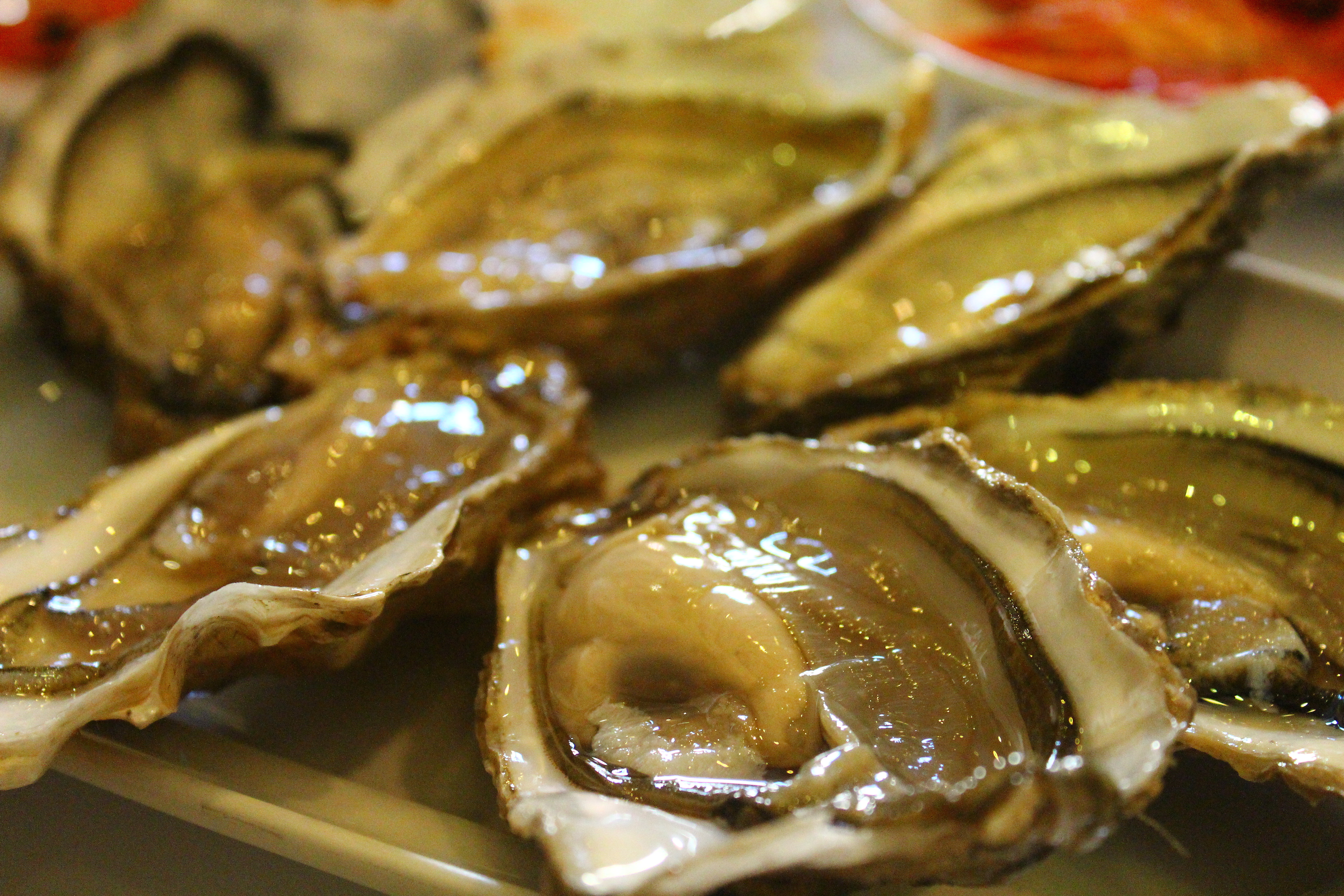 Cervejaria Ramiro seafood lisbon oysters