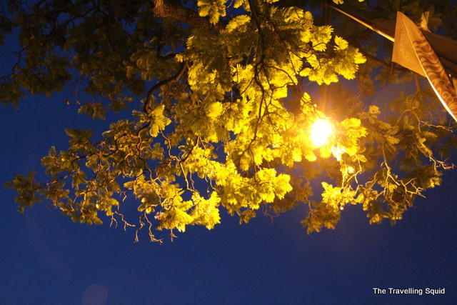 lisbon nightlife trees summer