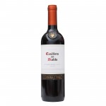 The perfect affordable wine for Christmas parties and dinners – Casillero del Diablo Carmenere