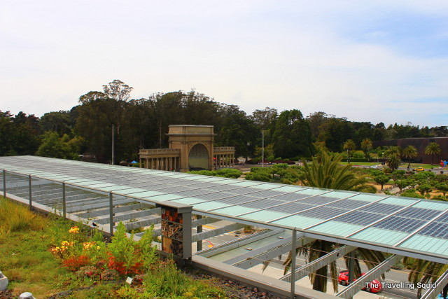 solar panels california academy of sciences living roof