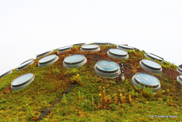 california academy of sciences living roof dome