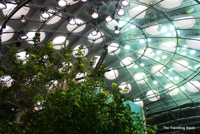 california academy of sciences osher rainforest dome