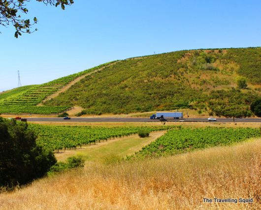 nicholson ranch california wine tour