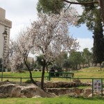 Spending Sabbath in Jerusalem – a day like no other