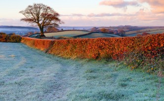 seclusion devon