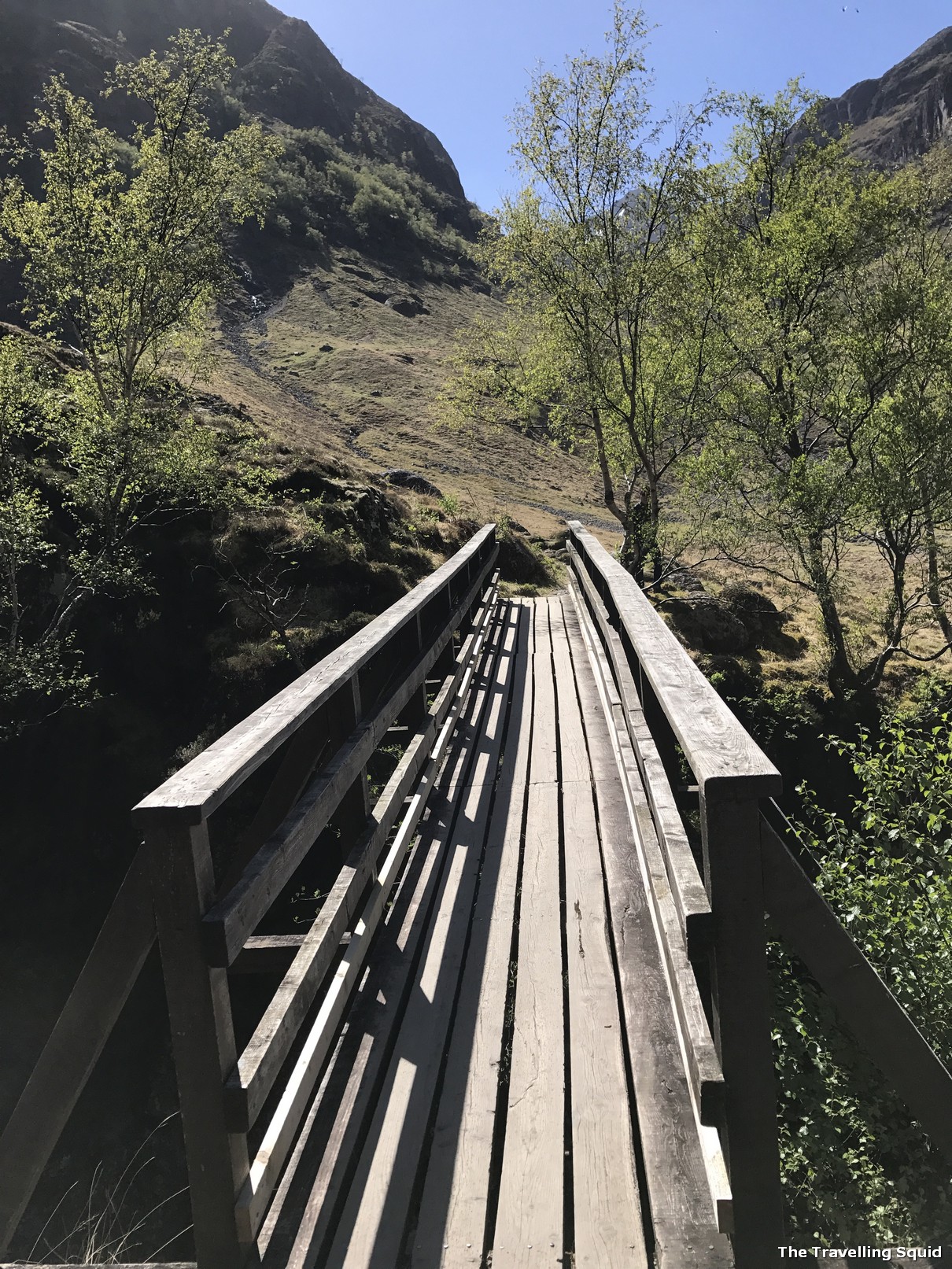 Three Sisters Hiking Trail in Glencoe wooden bridge