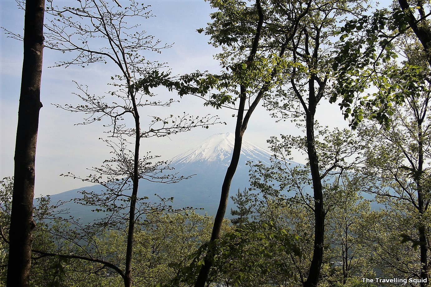 view of mount fuji from mount tenjo