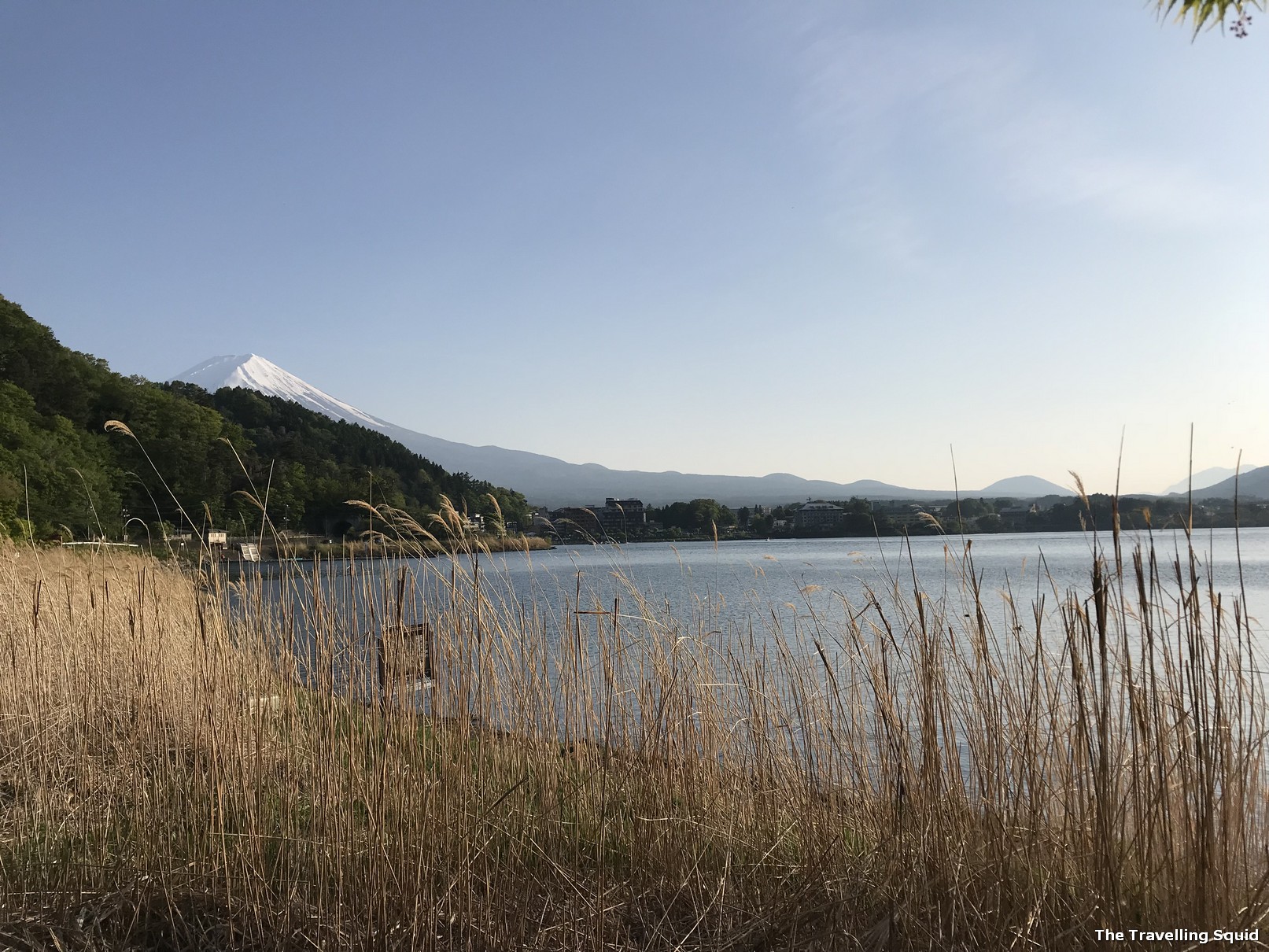 Lake Kawaguchiko Walking Trail