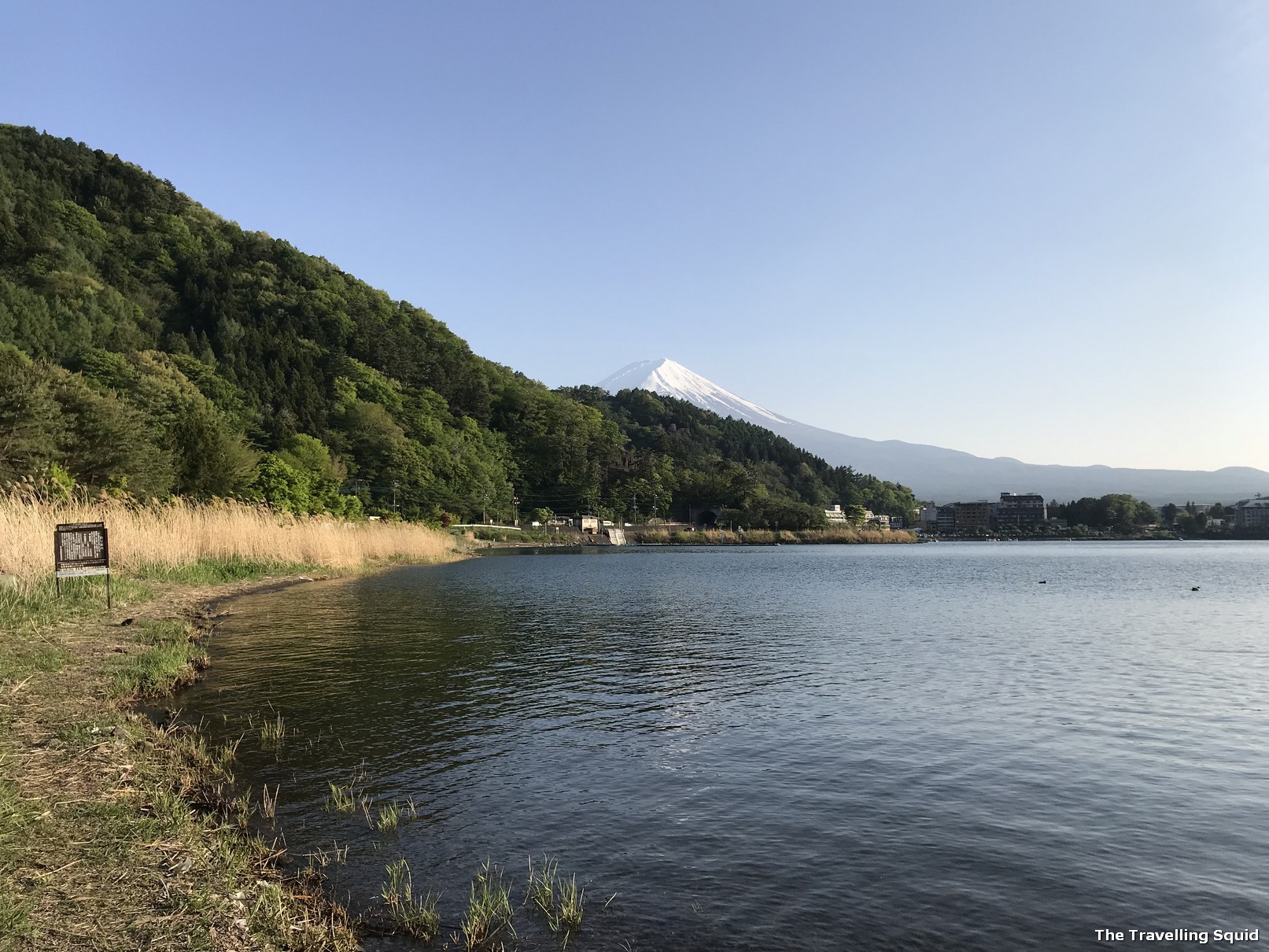 mount fuji lake kawaguchiko