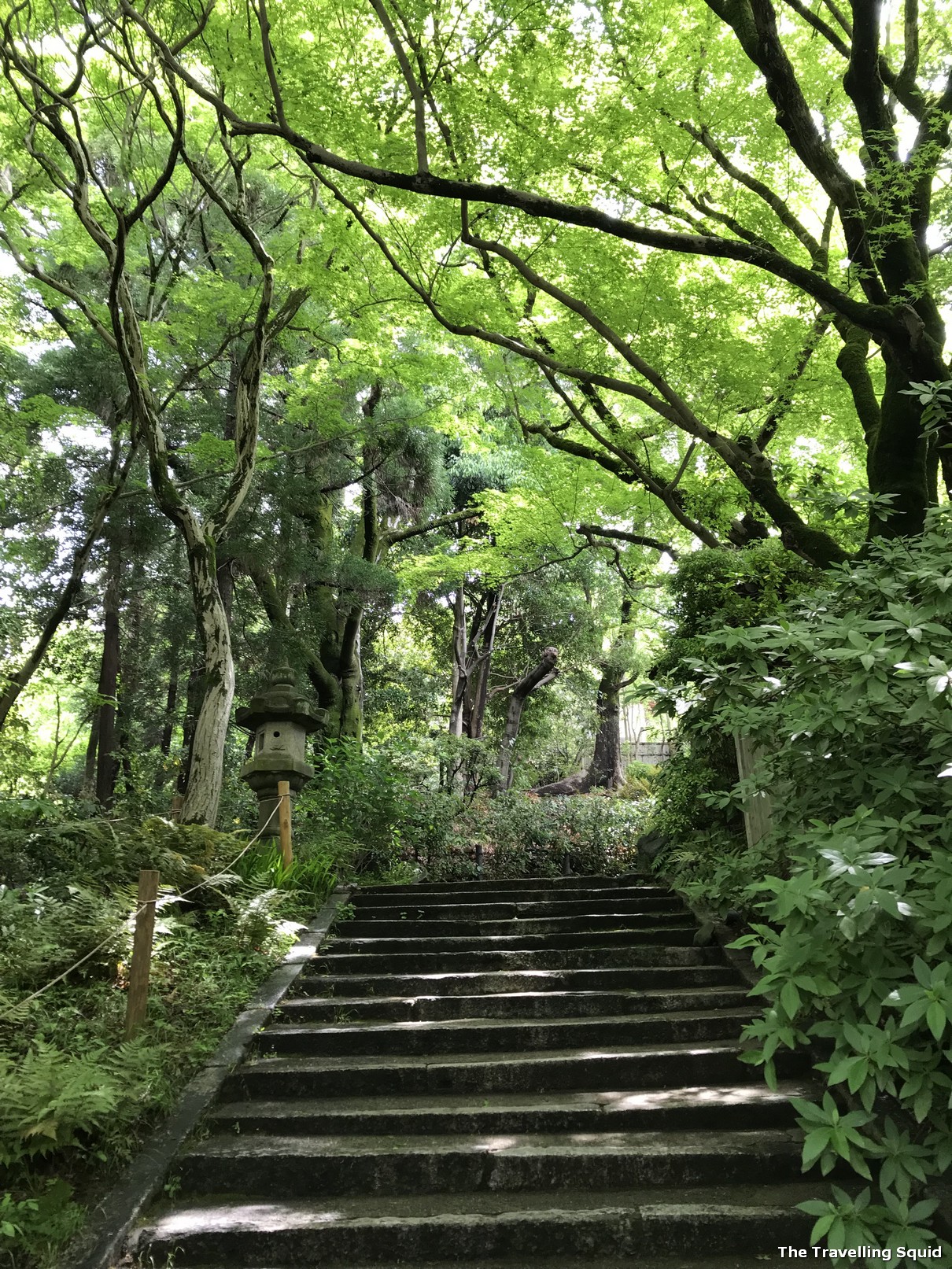 Maruyama Park in Higashiyama Kyoto