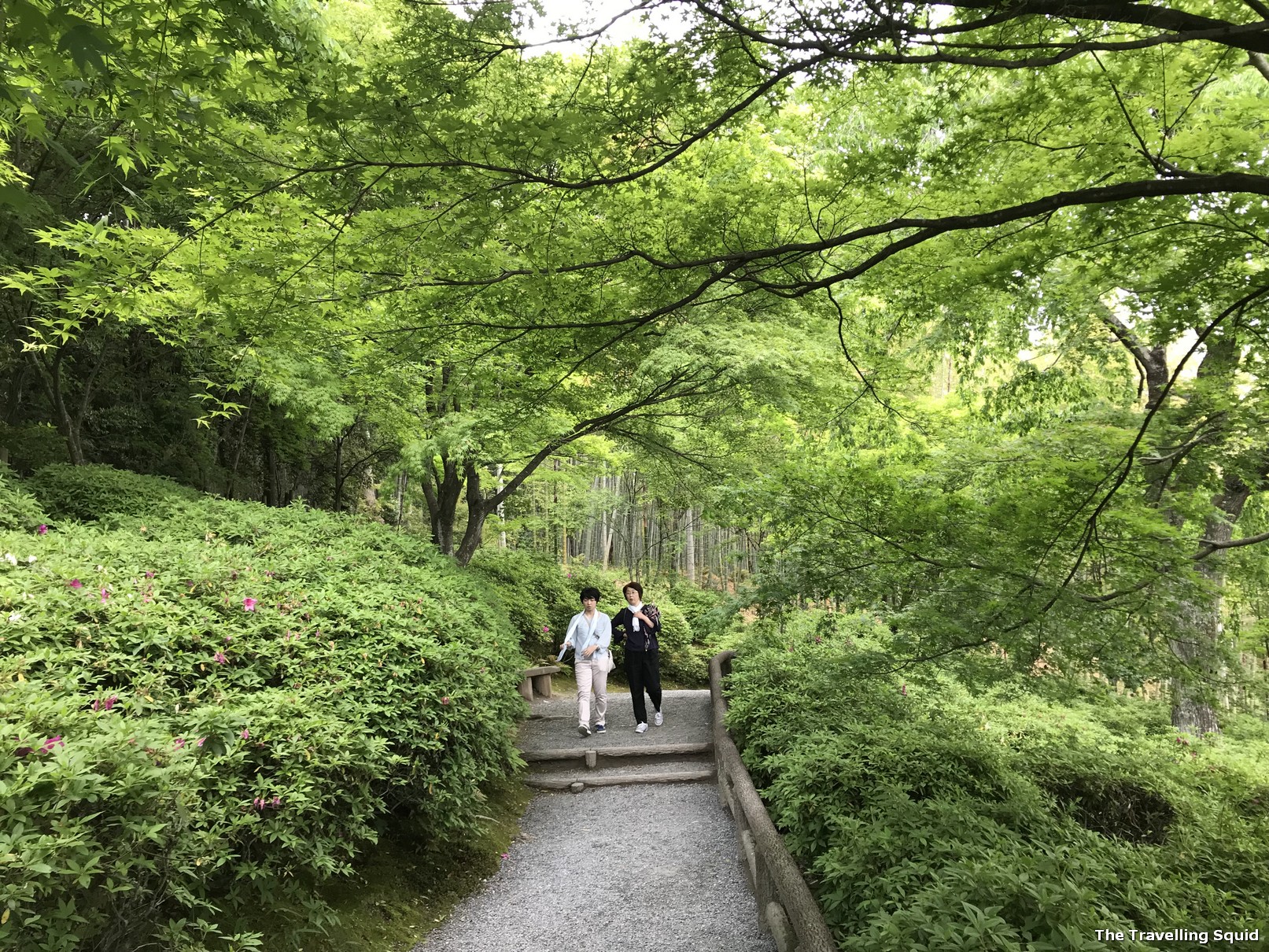 walking route around the Arashiyama Bamboo Forest