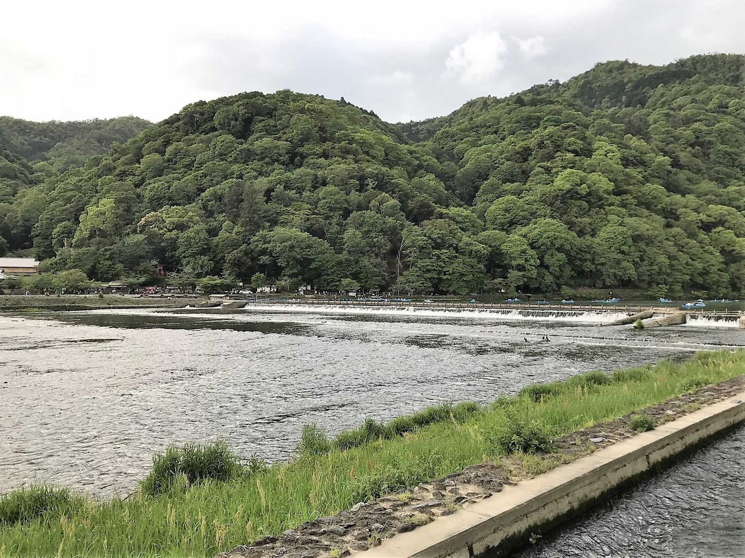 river gorge of Sagano Arashiyama