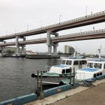Is the Kobe Port Earthquake Memorial Park worth visiting? 