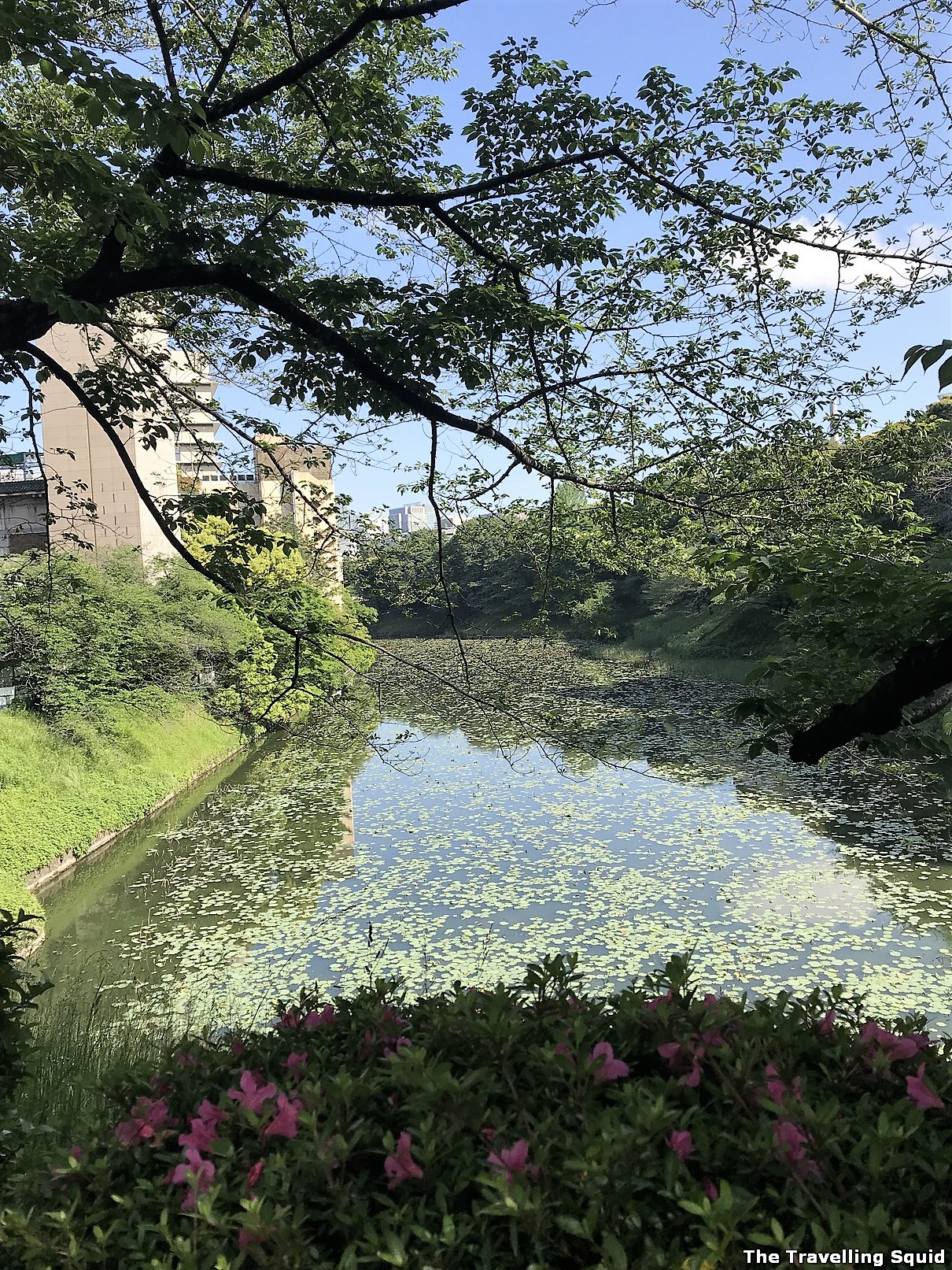 Tokyo Imperial East Gardens worth visiting