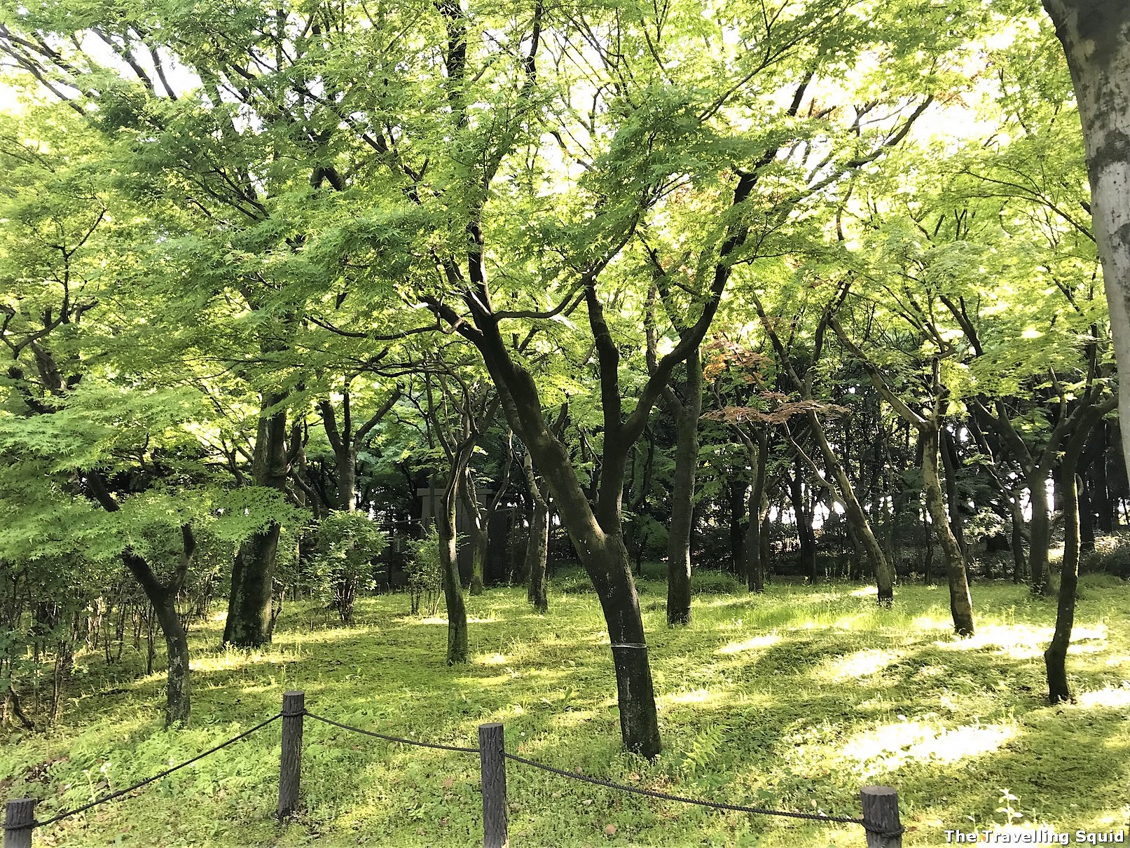Tokyo Imperial East Gardens worth visiting