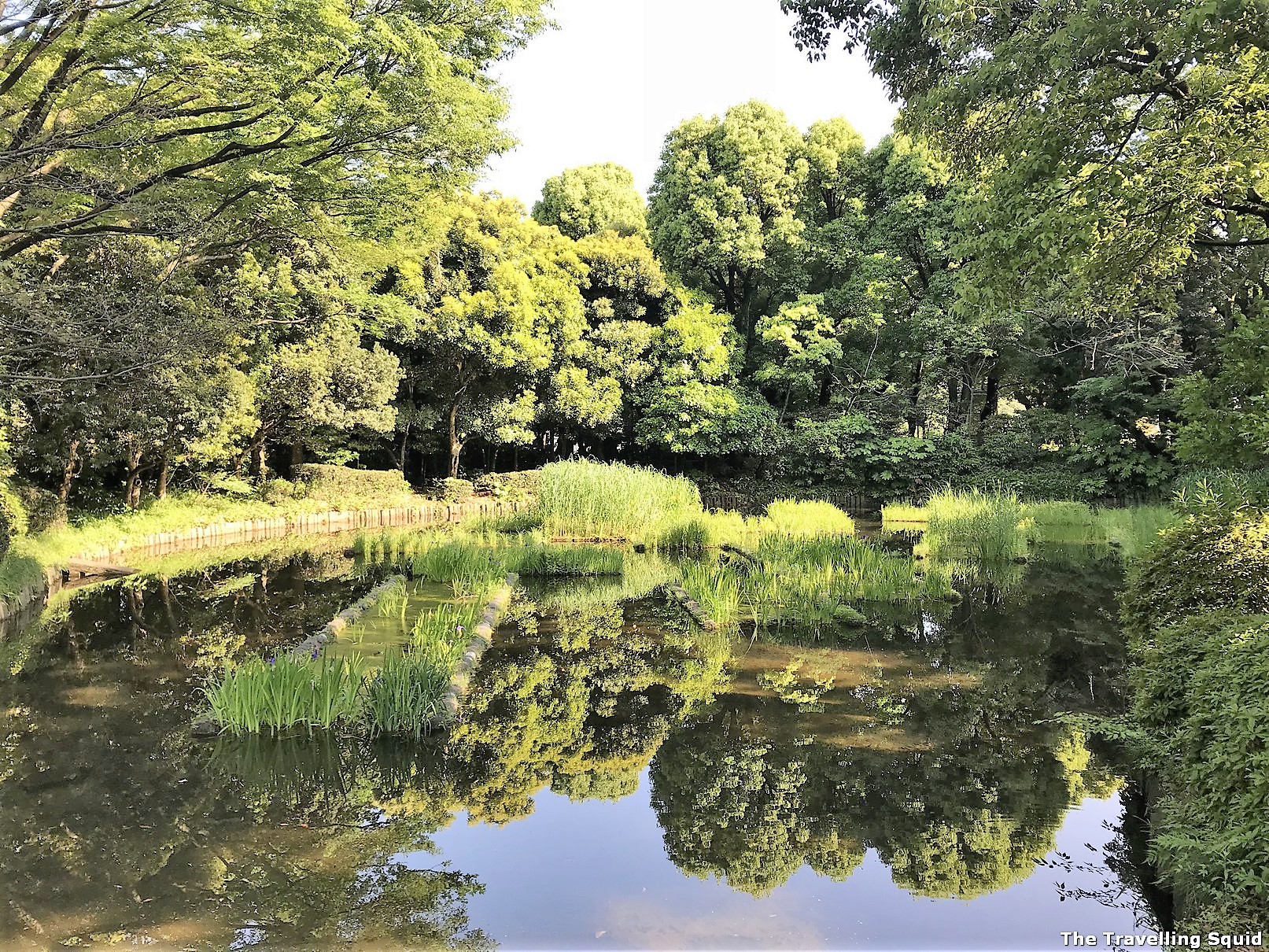 Is the Tokyo Imperial East Gardens worth visiting? 