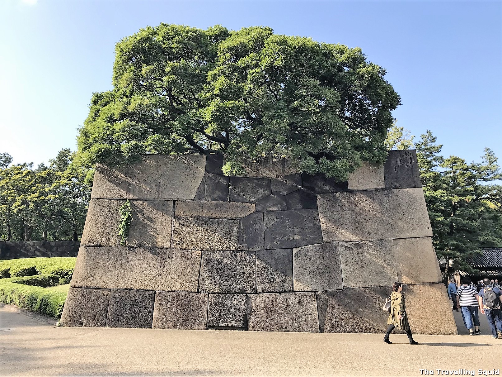 Imperial Palace East Gardens - Tokyo Travel