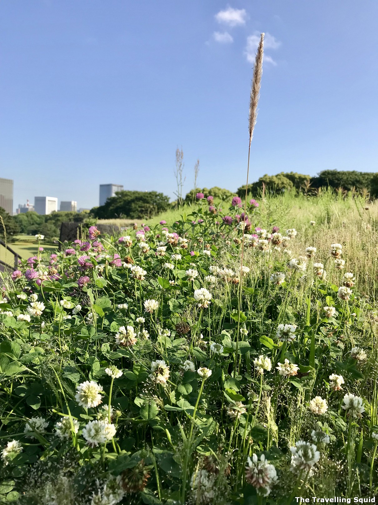 Is the Tokyo Imperial East Gardens worth visiting? 