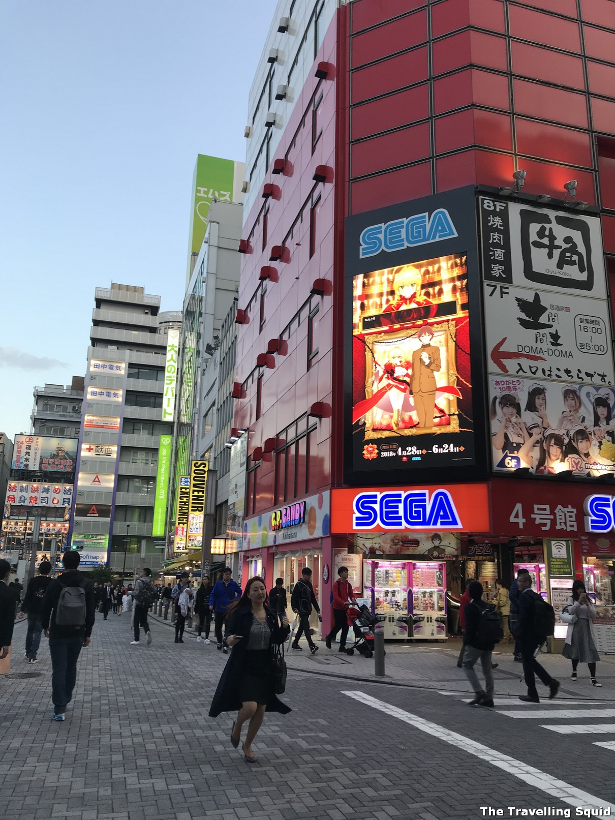 sovende naturpark spids A Female's Take: M's, the Pop Life adult department store in Akihabara -  The Travelling Squid