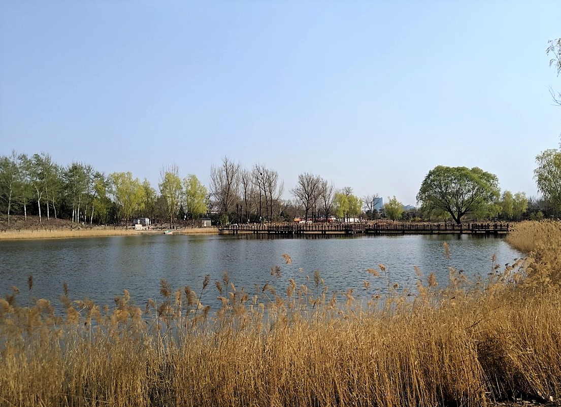 old summer palace beijing 圆明园