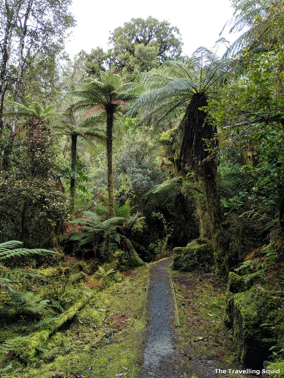 moraine walk west coast new zealand