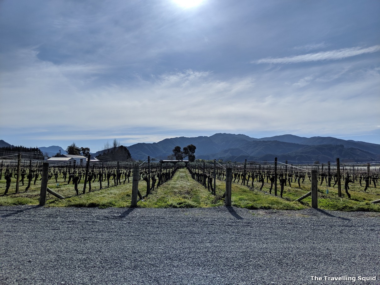 wairau river wines vineyard