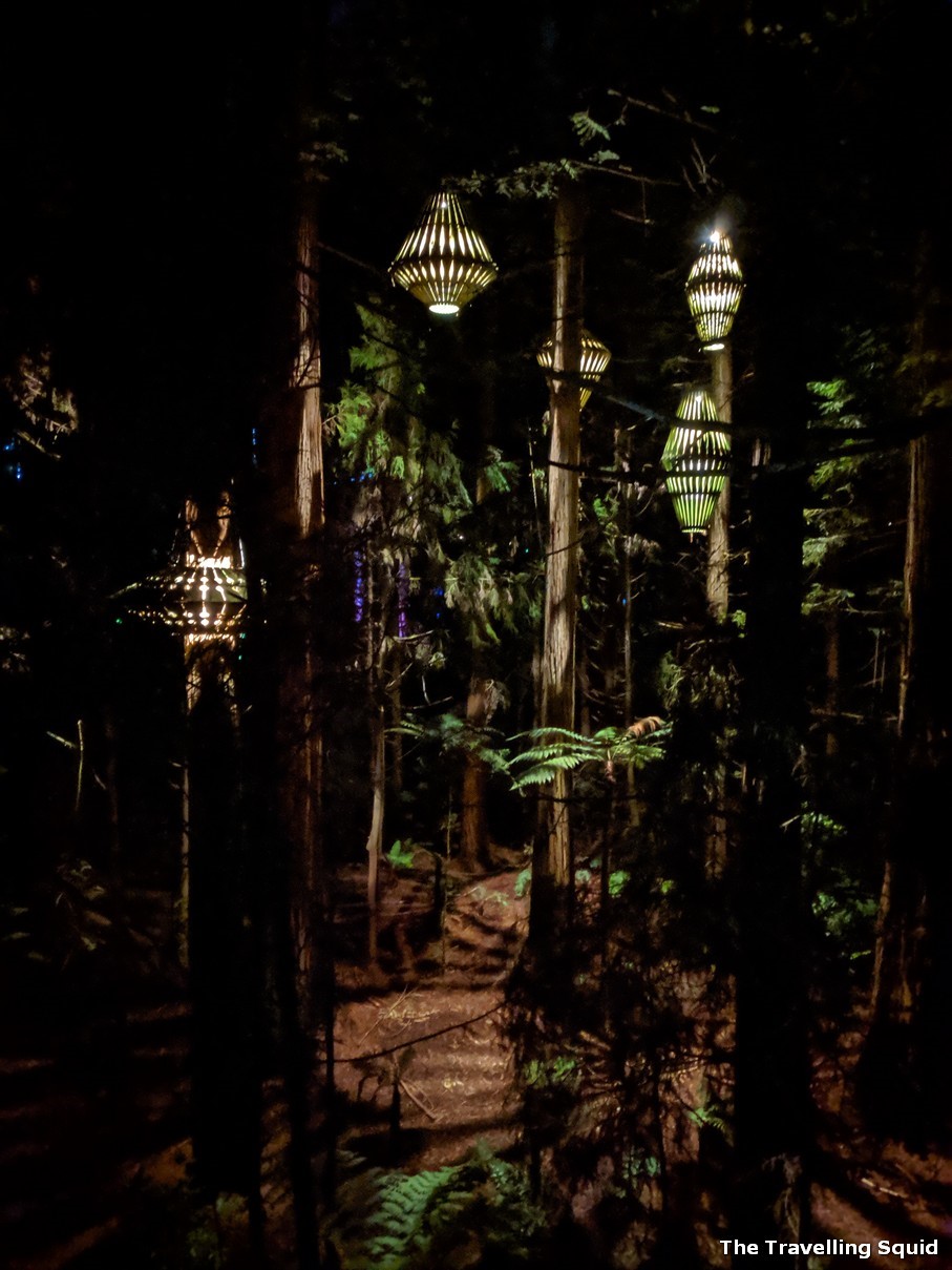 Whakarewarewa Forest in Rotorua at night