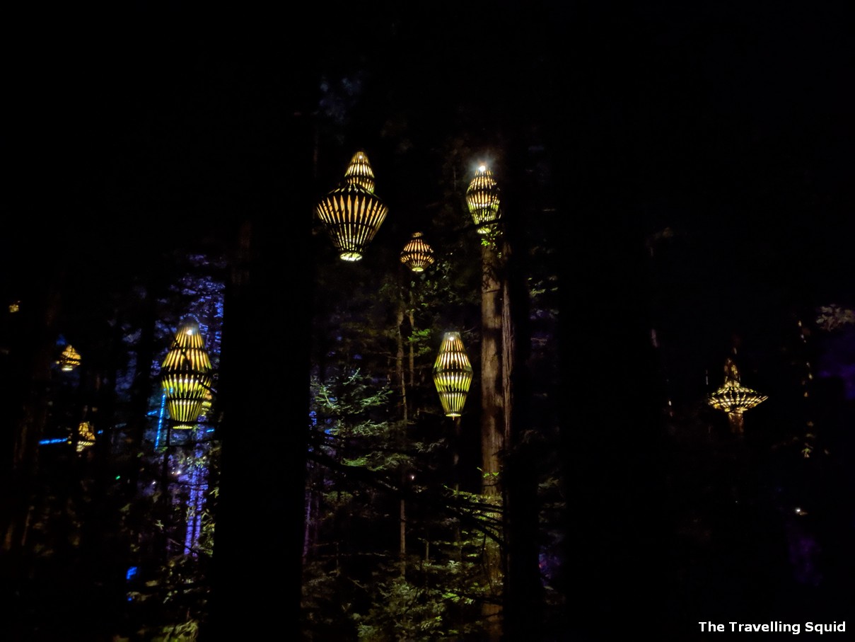 Whakarewarewa Forest in Rotorua at night