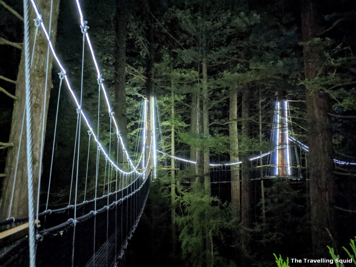 Whakarewarewa Forest in Rotorua at night