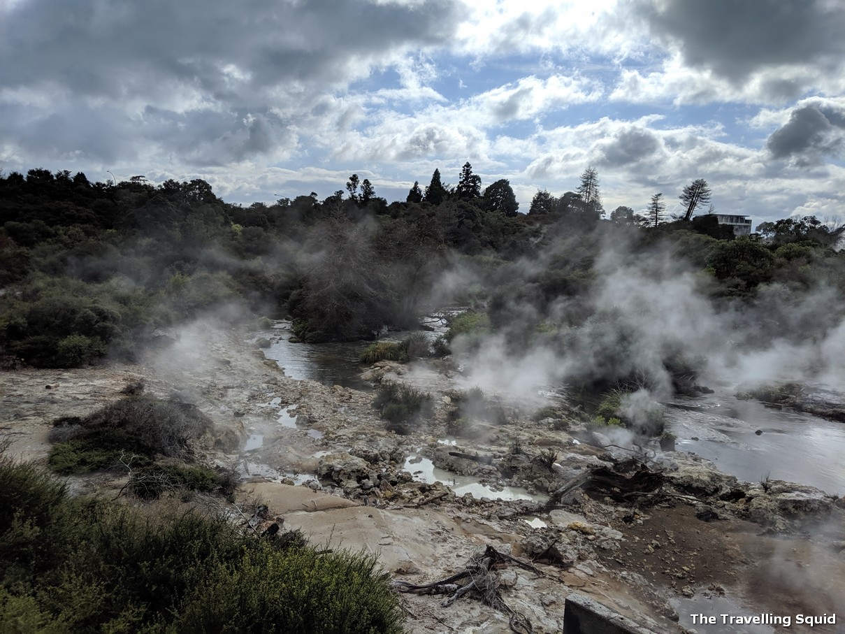visit Te Puia in Rotorua New Zealand geyser