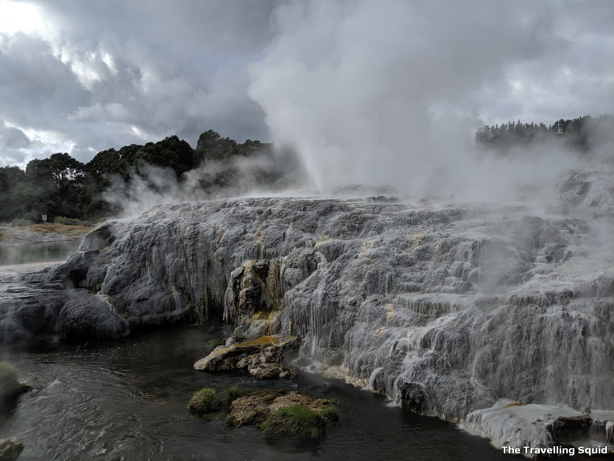 geysers geothermal te puia