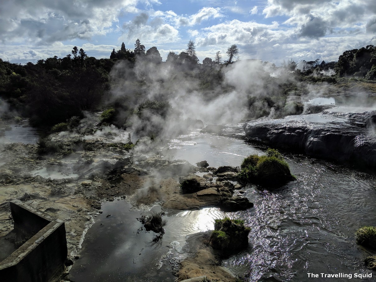 visit Te Puia in Rotorua New Zealand