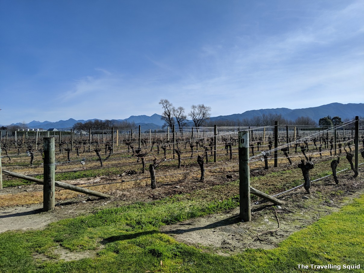 Wine & Dine in Blenheim - Cloudy Bay Vineyard - GCH Aviation New Zealand