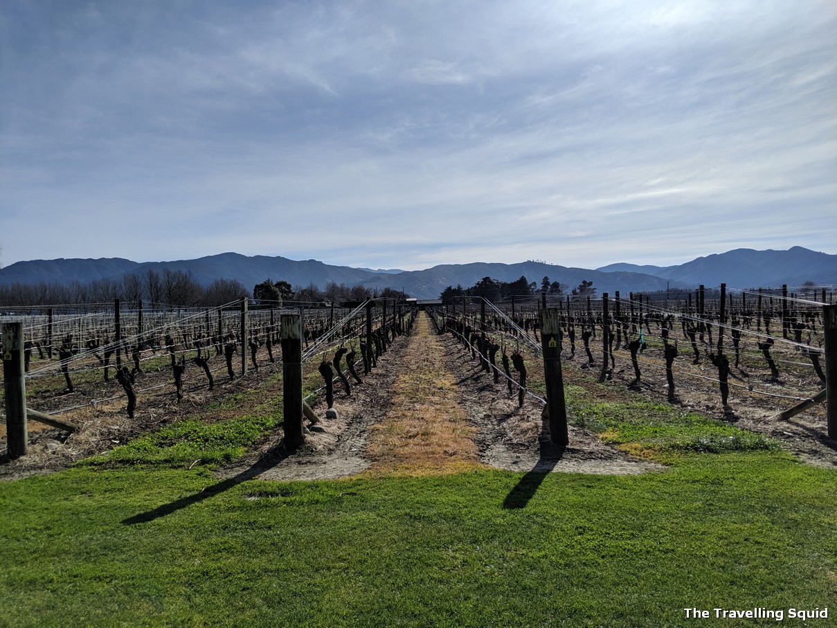 Cloudy Bay winery in Marlborough